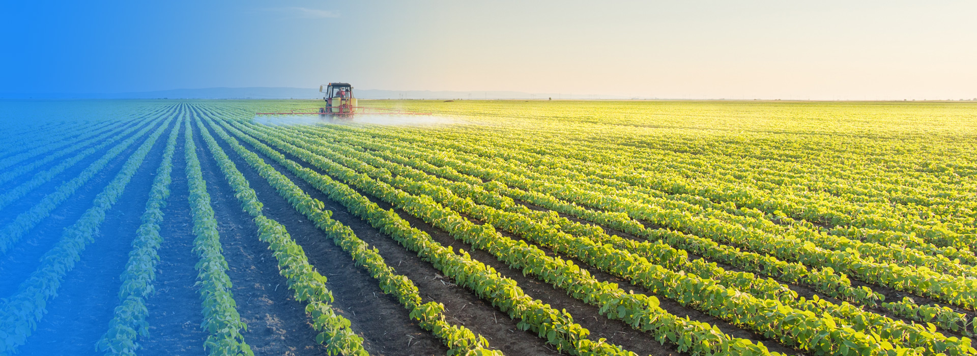 来利国际w66农业公司