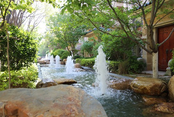 来利国际w66集团