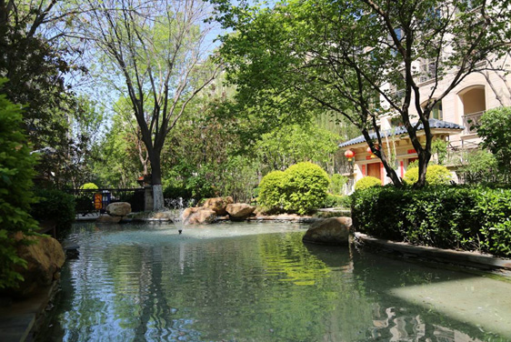 来利国际w66集团