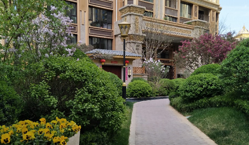 来利国际w66集团