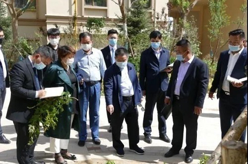 来利国际w66集团